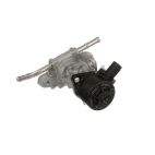 Exhaust Gas Recirculation (EGR) Valve