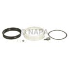 Fuel Pressure Regulator
