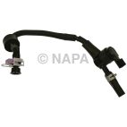 Vapor Canister Purge Valve