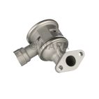 Exhaust Check Valve