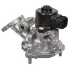 Exhaust Gas Recirculation (EGR) Valve