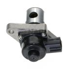Exhaust Gas Recirculation (EGR) Valve