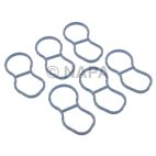 Fuel Injection Plenum Gasket