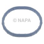 Fuel Injection Plenum Gasket