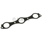 Fuel Injection Plenum Gasket