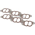 Fuel Injection Plenum Gasket