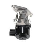 Exhaust Gas Recirculation (EGR) Valve