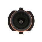 PCV Valve