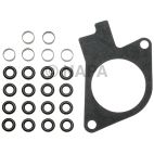 Fuel Injection Multi-Port Tune-up Kit