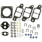 Fuel Injection Multi-Port Tune-up Kit