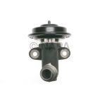 Exhaust Gas Recirculation (EGR) Valve