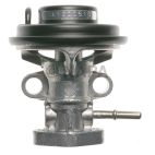 Exhaust Gas Recirculation (EGR) Valve