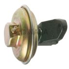 Exhaust Gas Recirculation (EGR) Valve