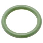 Exhaust Gas Recirculation (EGR) Valve