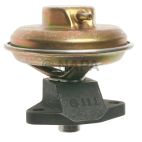 Exhaust Gas Recirculation (EGR) Valve