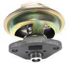 Exhaust Gas Recirculation (EGR) Valve