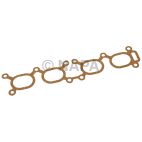 Fuel Injection Plenum Gasket