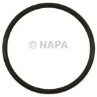 Fuel Pump O-Ring