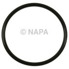 Fuel Pump O-Ring