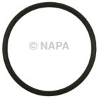 Fuel Pump O-Ring