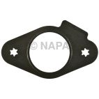 Fuel Pump Gasket