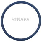 Fuel Pump O-Ring