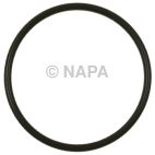 Fuel Pump O-Ring