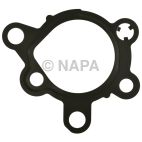 Fuel Pump Gasket