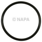 Fuel Pump O-Ring