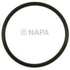 Fuel Pump O-Ring