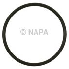 Fuel Pump O-Ring