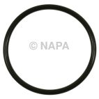Fuel Pump O-Ring