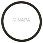 Fuel Pump O-Ring
