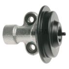 Exhaust Gas Recirculation (EGR) Valve