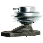Exhaust Gas Recirculation (EGR) Valve
