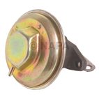 Exhaust Gas Recirculation (EGR) Valve