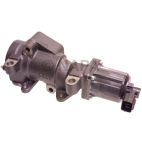 Exhaust Gas Recirculation (EGR) Valve