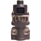 Exhaust Gas Recirculation (EGR) Valve