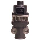 Exhaust Gas Recirculation (EGR) Valve