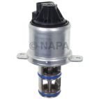 Exhaust Gas Recirculation (EGR) Valve