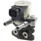 Exhaust Gas Recirculation (EGR) Valve