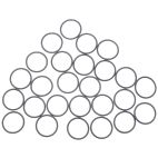 Fuel Injection Cleaning Kit O-Ring (ASNU)