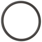 Fuel Injection Cleaning Kit O-Ring (ASNU)