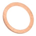 Exhaust Gas Recirculation (EGR) Valve