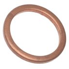 Exhaust Gas Recirculation (EGR) Valve