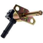 Fuel Injection Cold Start Valve