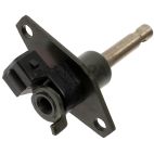 Fuel Injection Cold Start Valve