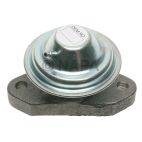 Exhaust Gas Recirculation (EGR) Valve