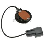 Carburetor Choke Thermostat