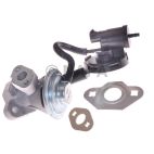 Exhaust Gas Recirculation (EGR) Valve